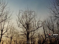 排版精美的文字海报设计