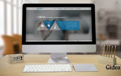 如何进行品牌发展战略？