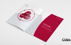  如何做好特许经营品牌的全年品牌策划？