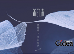 品牌定位战略是否可以找专业的公司来做