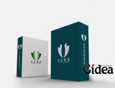 世界顶级设计公司logo该怎样去选择？