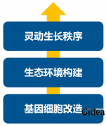 消费升级大时代，品牌如何进行战略升级？