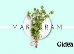 为什么有这么多的企业喜欢找品牌策划公司？