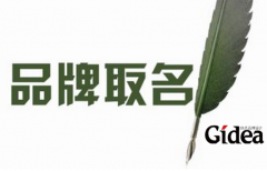高端大气上档次的品牌可直接影响市场动向