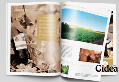 上海企业宣传册设计步骤有哪些？