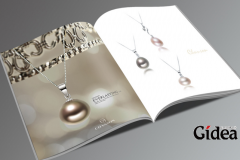 开珠宝店的一定要先了解珠宝品牌画册设计公司