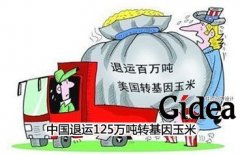 中国退运125万吨转基因玉米 多元化进口明显