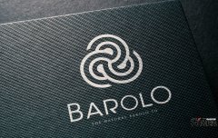 把在复杂的市场背景下把握核心VI设计价值