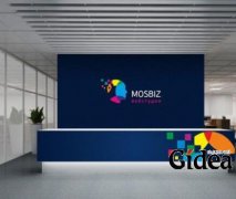 从哪些角度对公司vi设计案例进行分析