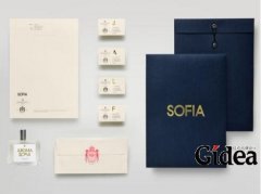 奢侈品vi设计一定要找品牌的设计公司