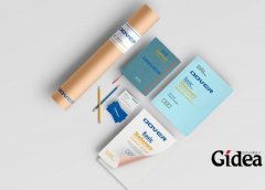 我国企业品牌建设是如何来进行的呢