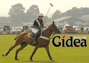 图：Mercedes-Benz Polo 挑战赛