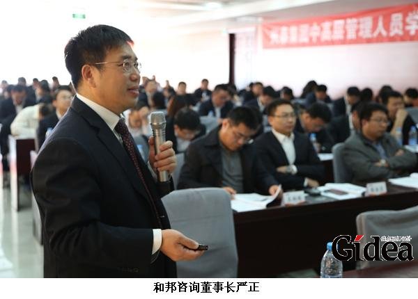 和邦咨询董事长严正