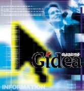 CIO：责任与能耐(第1页)