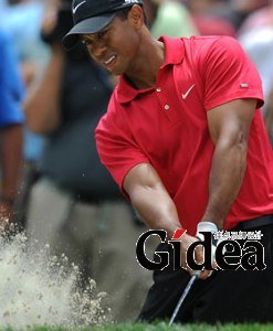 第一名：泰格-伍兹 预计收入：1.15亿美元