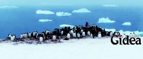 旅行,南极旅行,探险