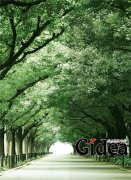 为了同一个地球