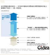 中国新一代务实型消费者(第1页)